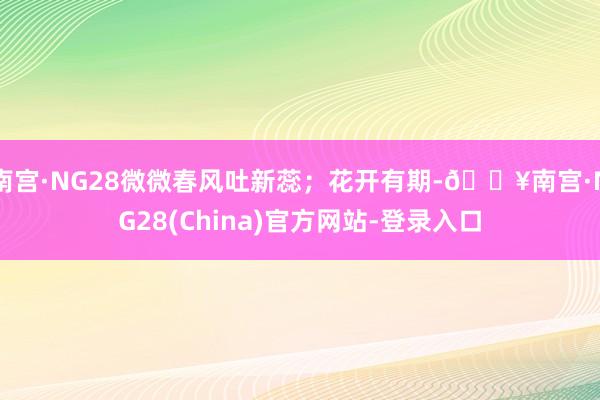 南宫·NG28微微春风吐新蕊；花开有期-🔥南宫·NG28(China)官方网站-登录入口